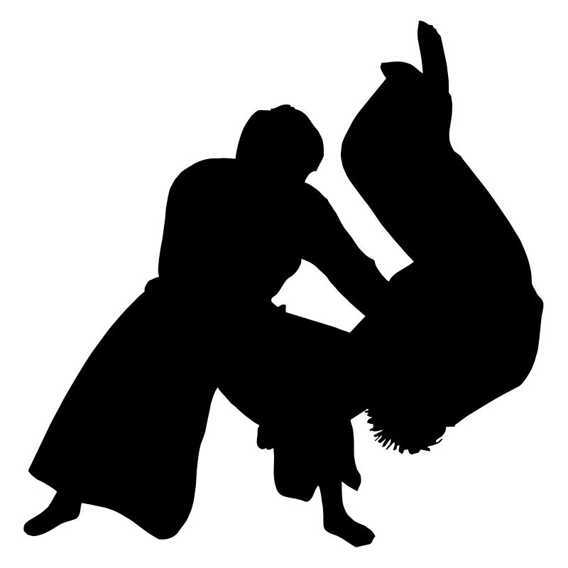Aikido-Wurf