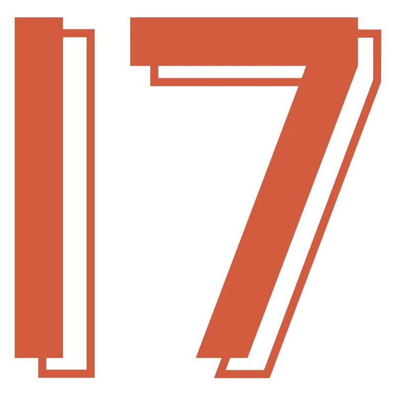 17 Trikotnummer