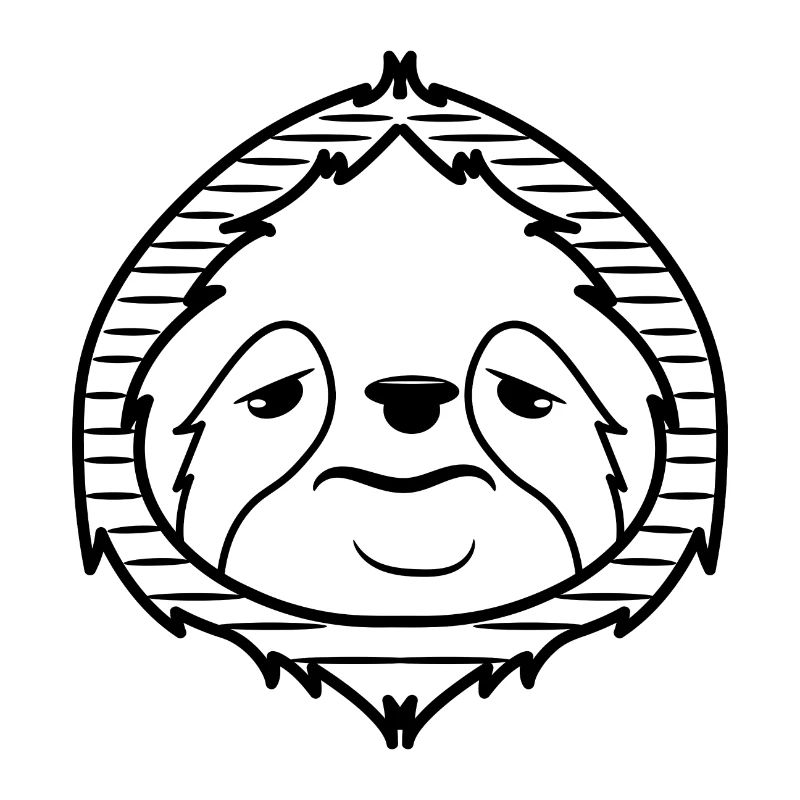 Sloth Zoo Jungle Moe Dierlijk Zoogdier
