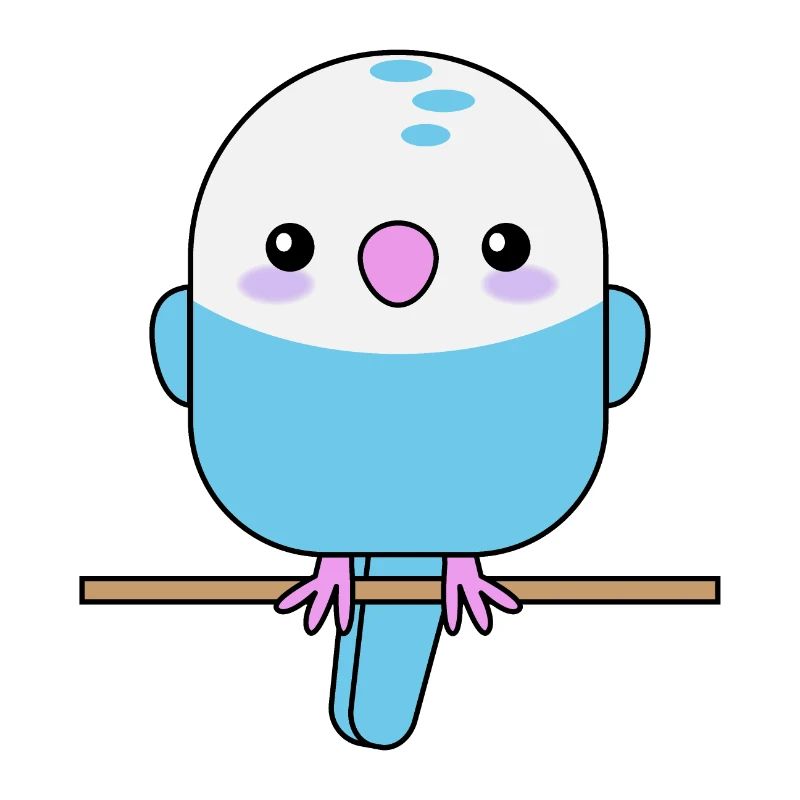 Perruche mignonne, perroquet, oiseau