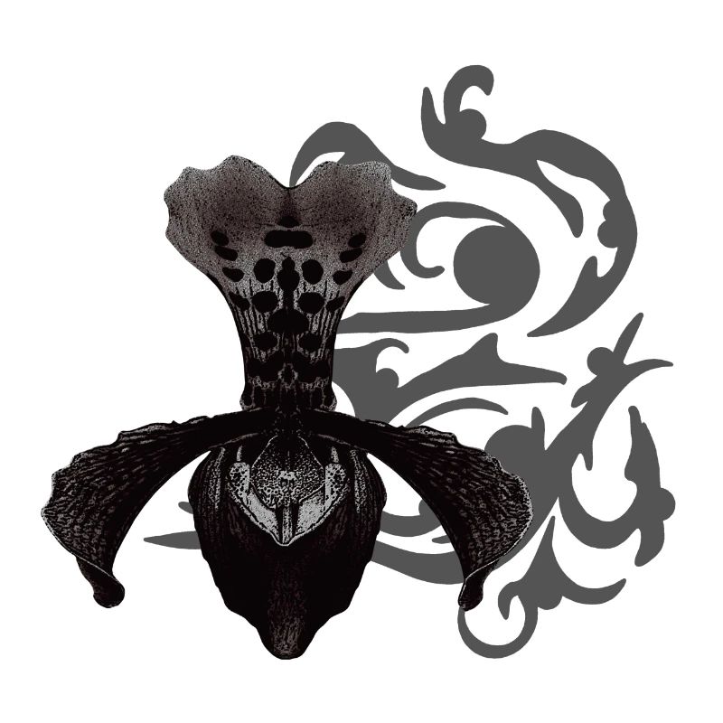 orchideen, tribals, gothic designs