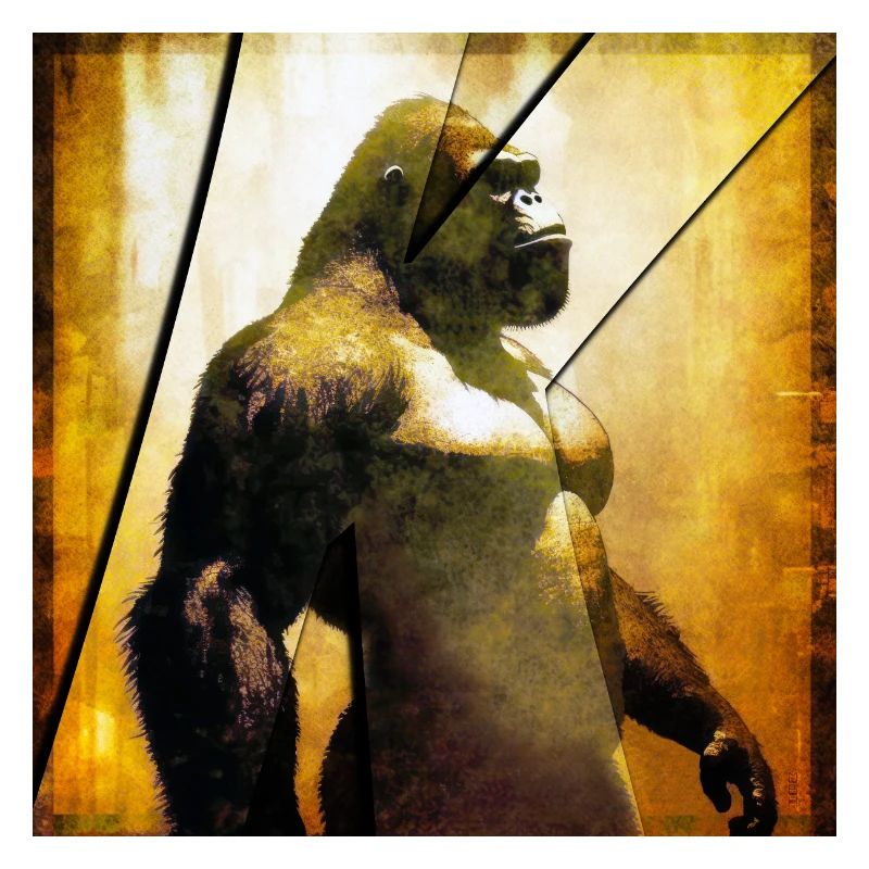 Gorilla 03 - K
