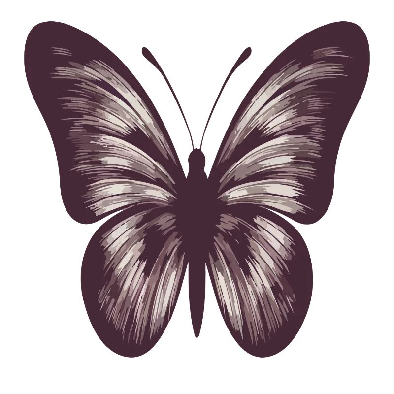 Schmetterling