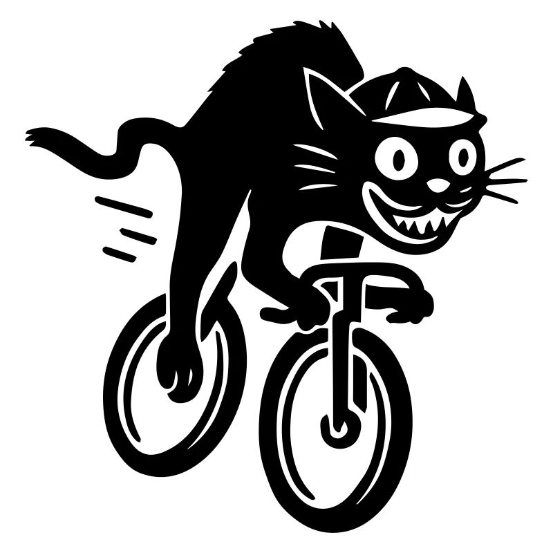 Chat rapide sur vélo de route