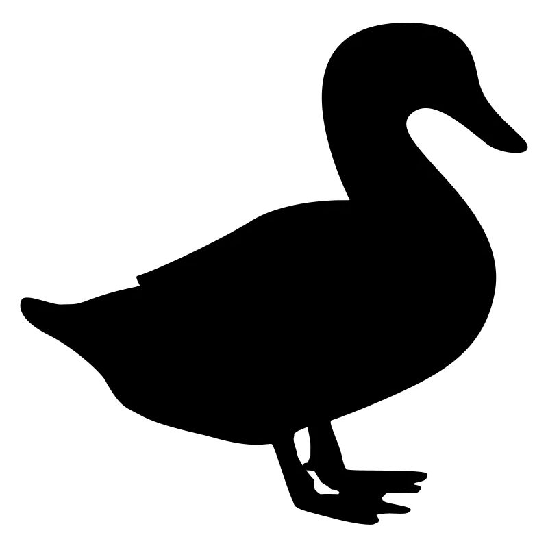 duck / duck / quack