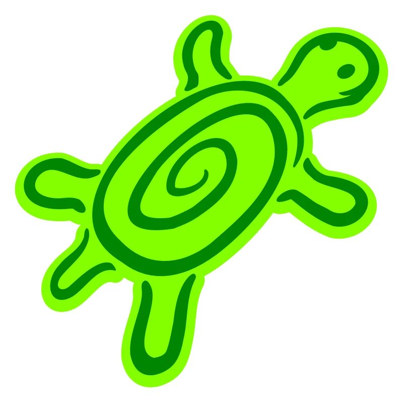 turtle spiral turtle shell pattern cute