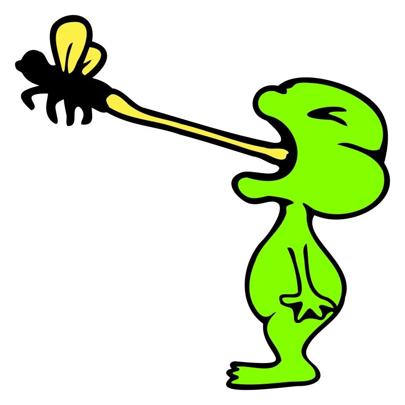 Frog catches fly tongue mosquito eat hunger toad