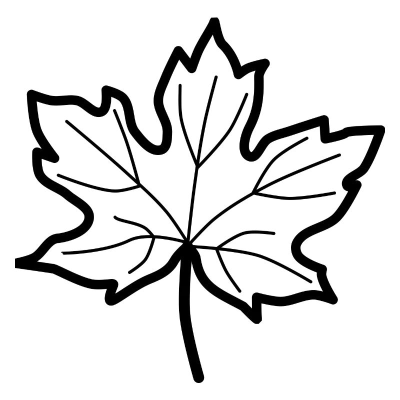 Deciduous leaf - autumn