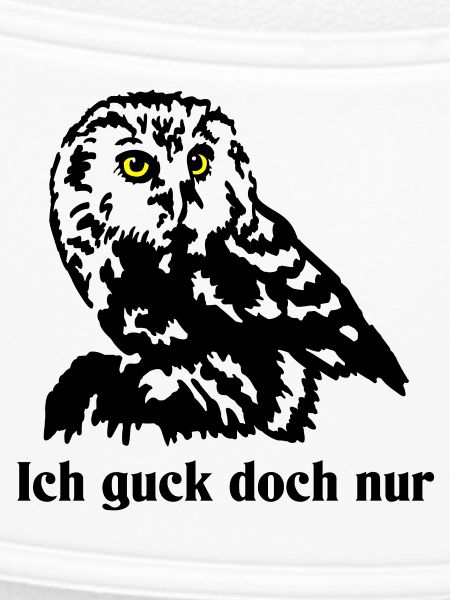 Steinkauz