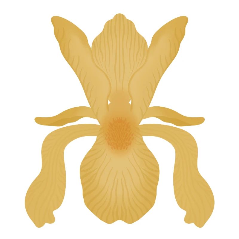 Goldene Irisblüte
