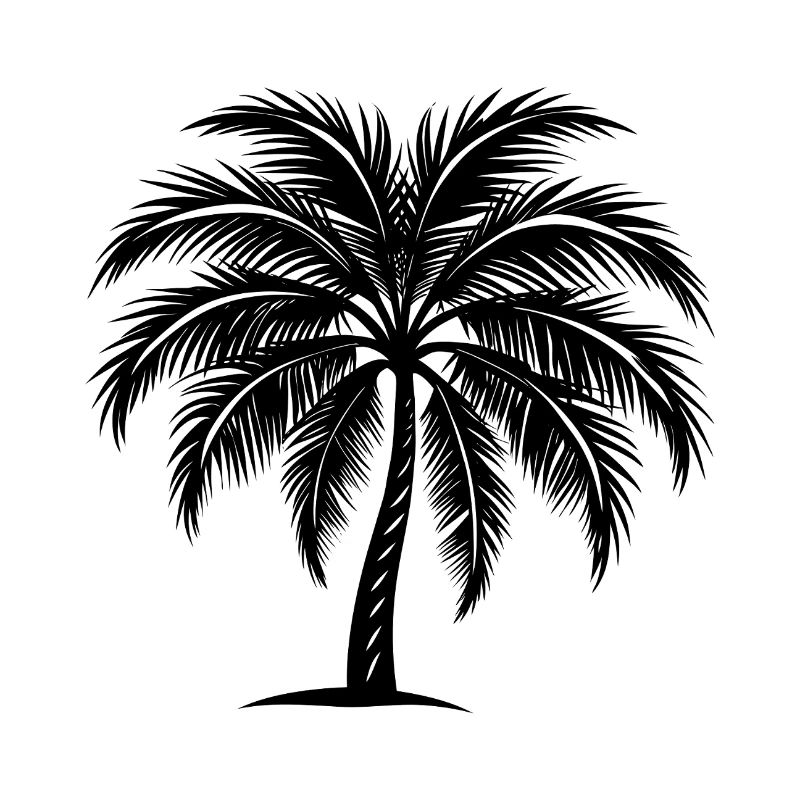 Palm tree
