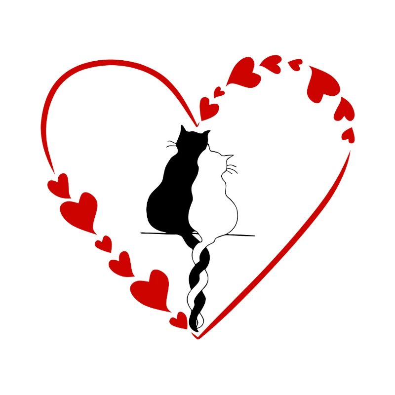 Katzenpaar-Liebe