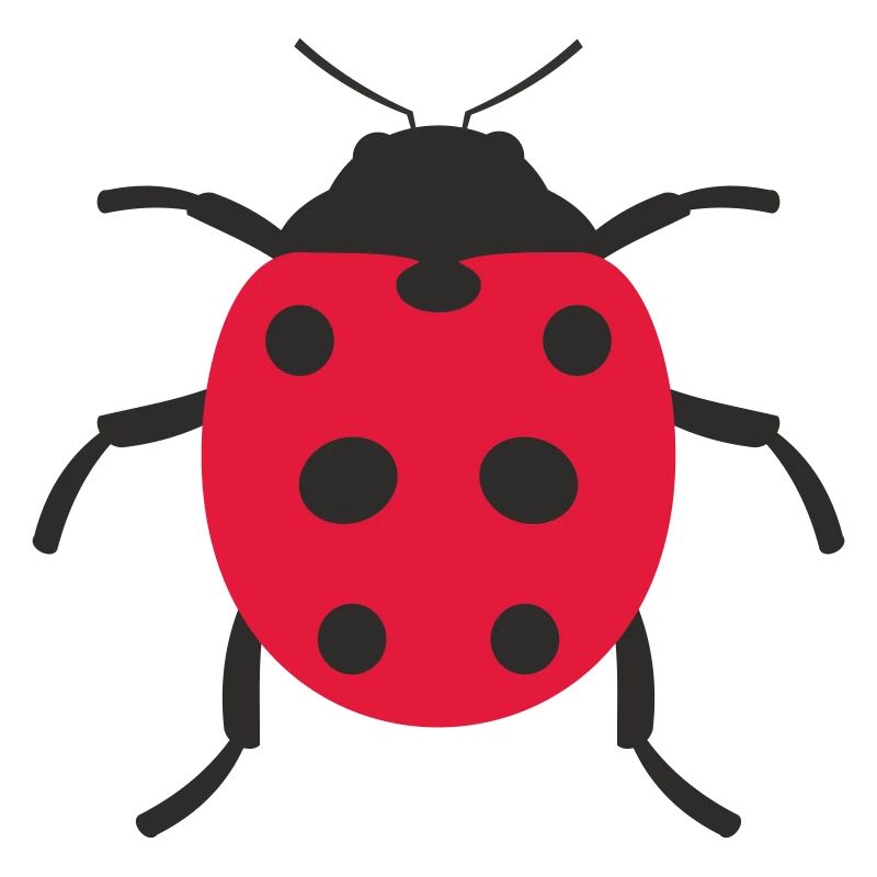 Marienkäfer Design