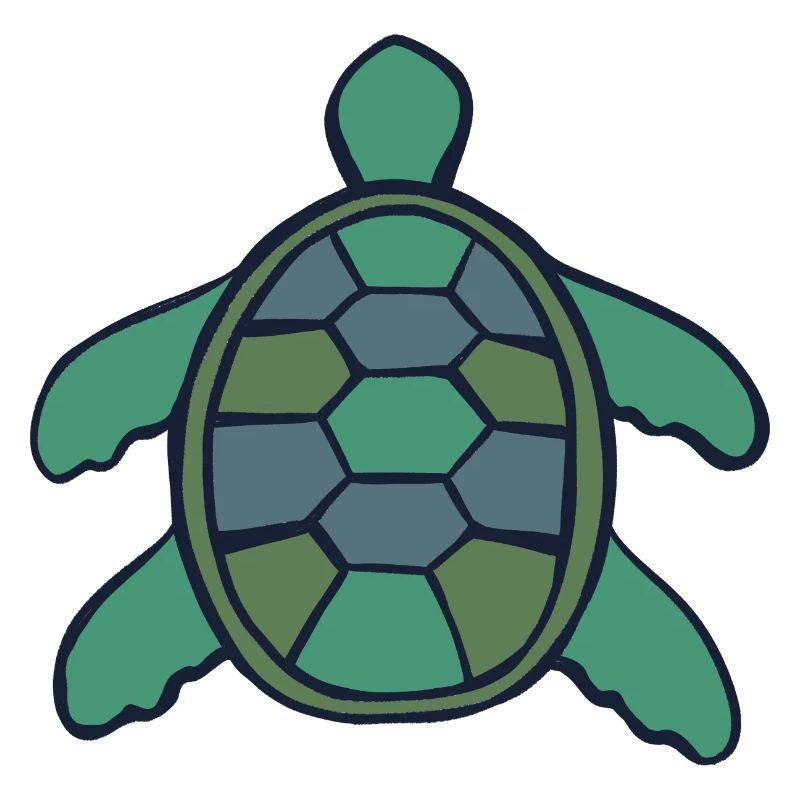 Geometric Shell Turtle