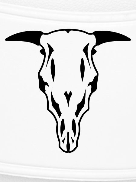 Bull Skull
