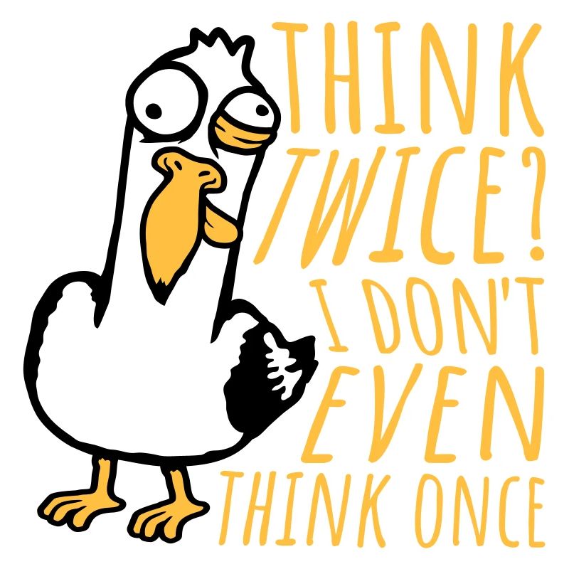 Seagull Crazy Think Twice? I Don't Even Think Once