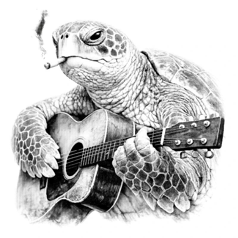 Turtle Blues Guitarist