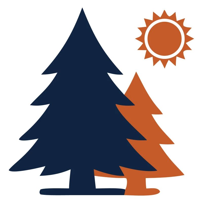 Fir Trees Forest Sun Minimalism