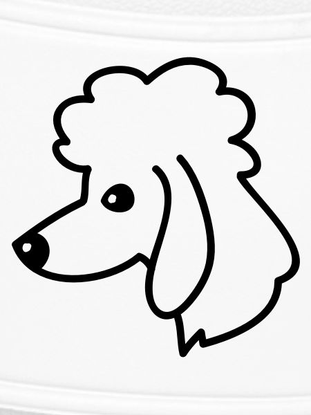 Poodel Portrait