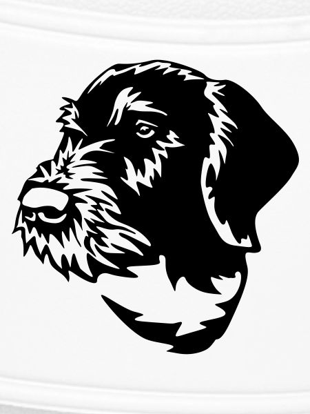 German Wirehaired Pointer