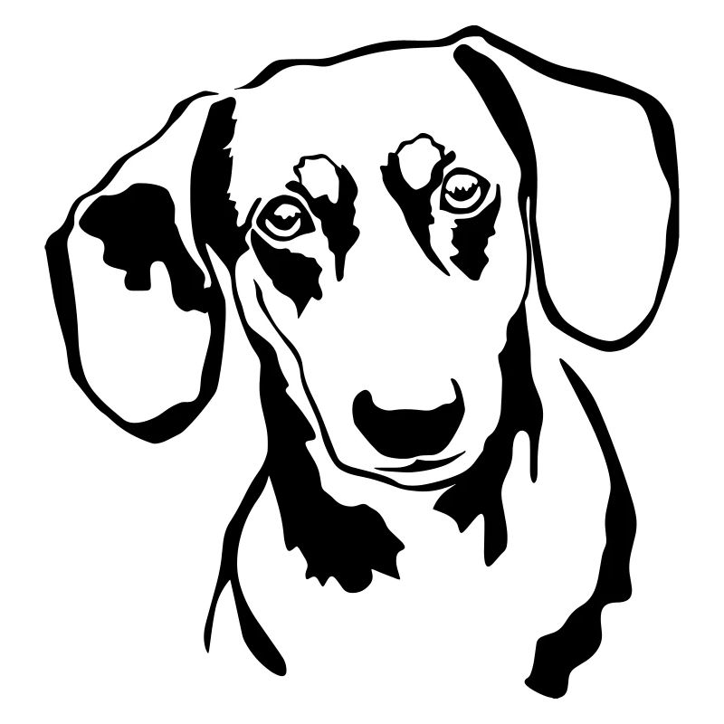 Dackel Kopf