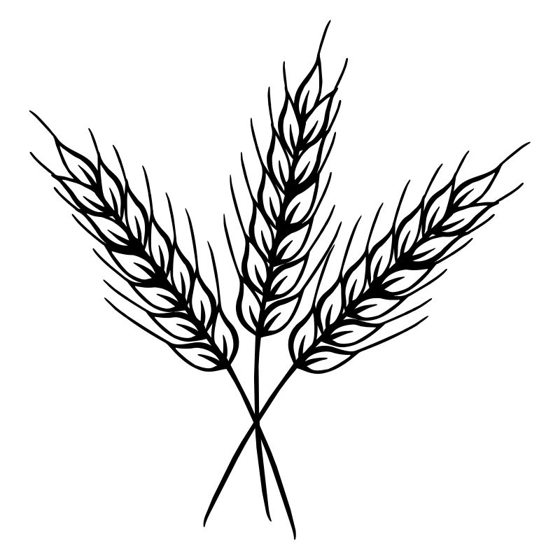 Three fine grain stalks