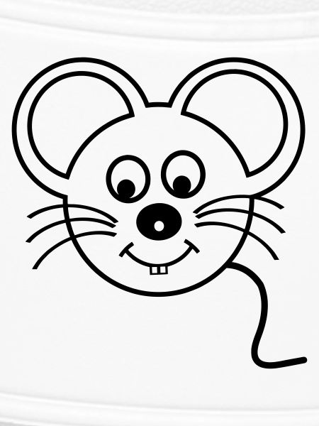 Maus