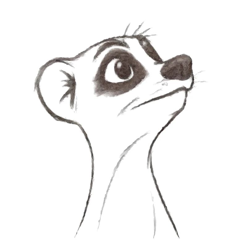 questioning meerkat