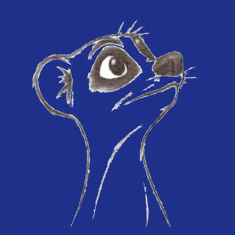 fragendes Erdmännchen