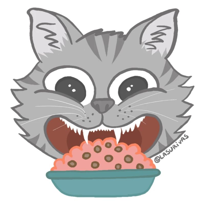 Gato
