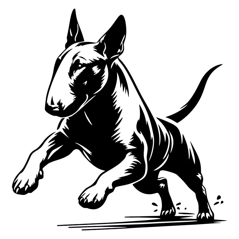 Bull terrier