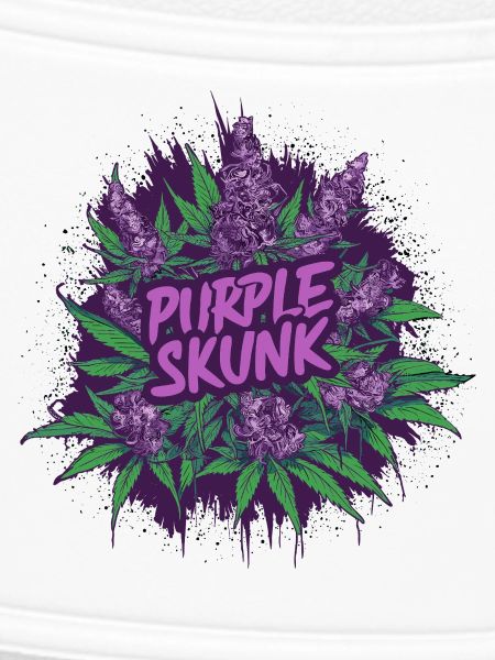 Purple Skunk