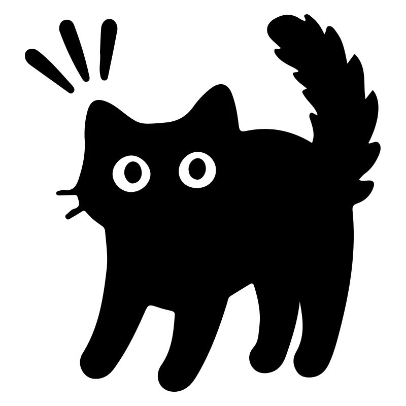 Kater Katze