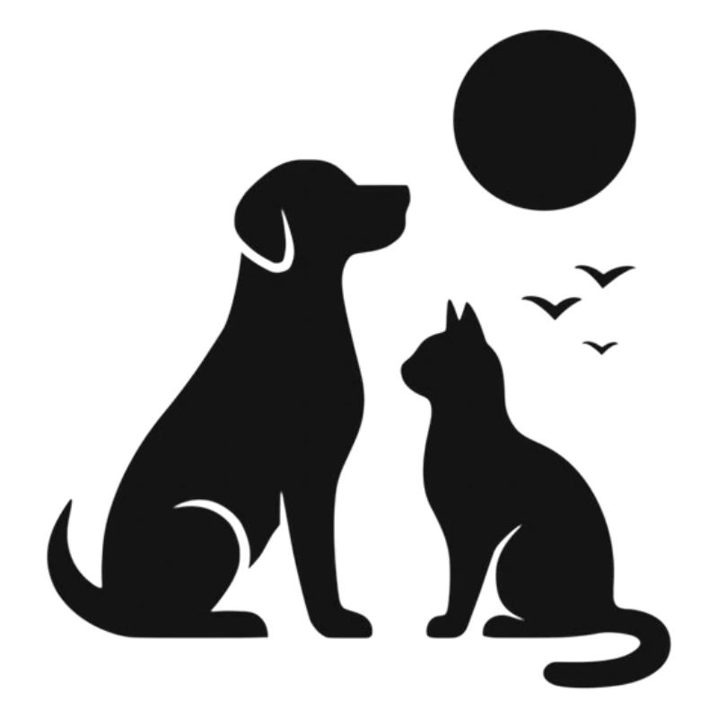 Silhouette de chien chat nocturne au clair de lune