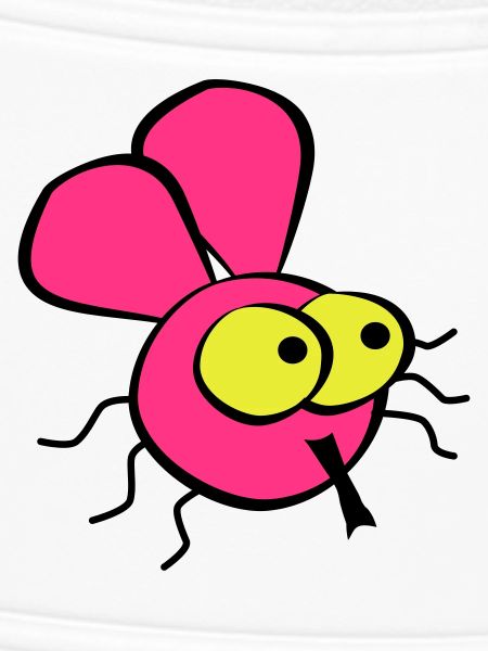 Fly