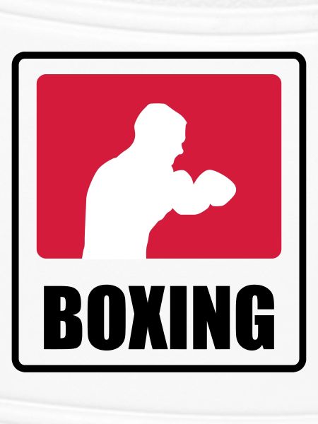 Boxer - Boxing 🥊