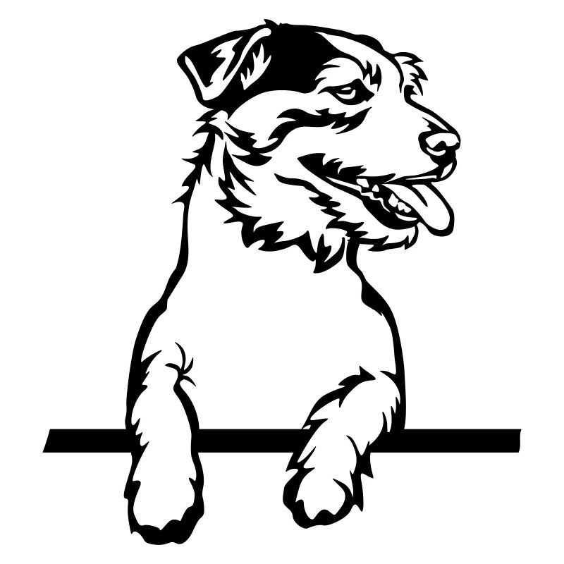 Jack Russell Terrier