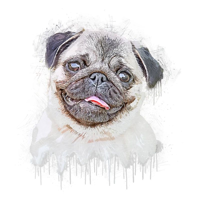 Mops