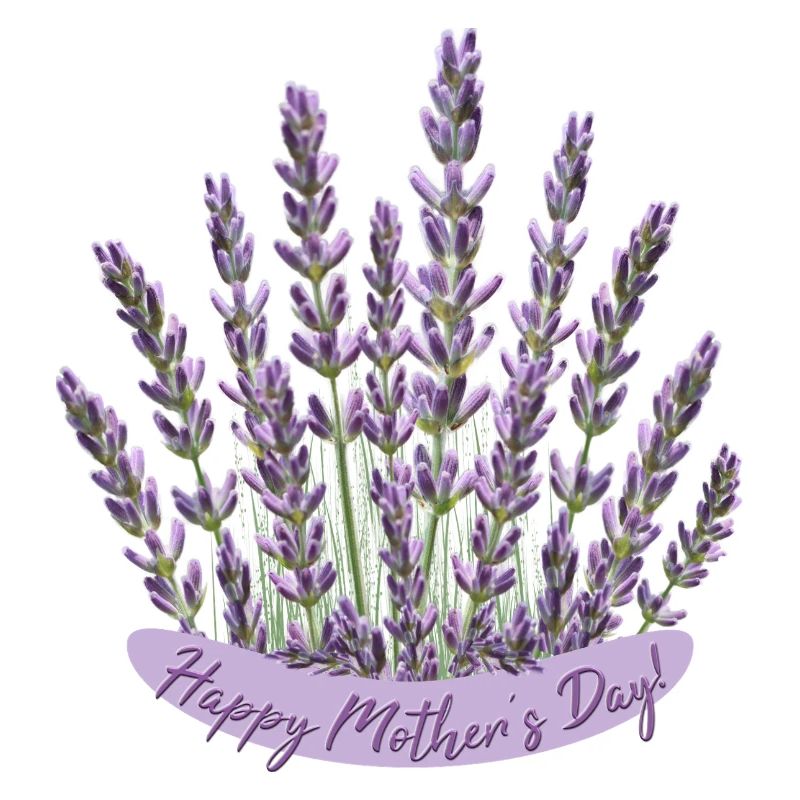 Lavendel Herz Muttertag Motiv beste Mama