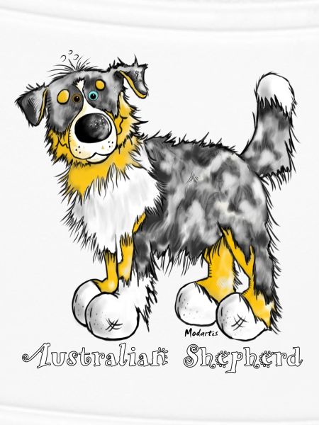 Australian Shepherd – Aussie – Hütehund