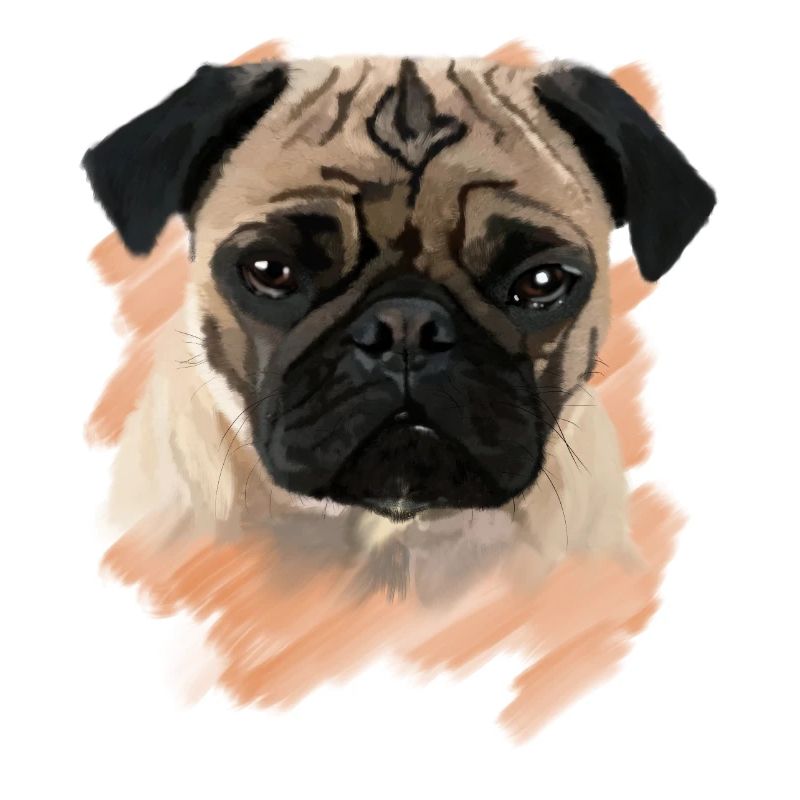 Mops