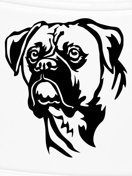 Boxer Kopf