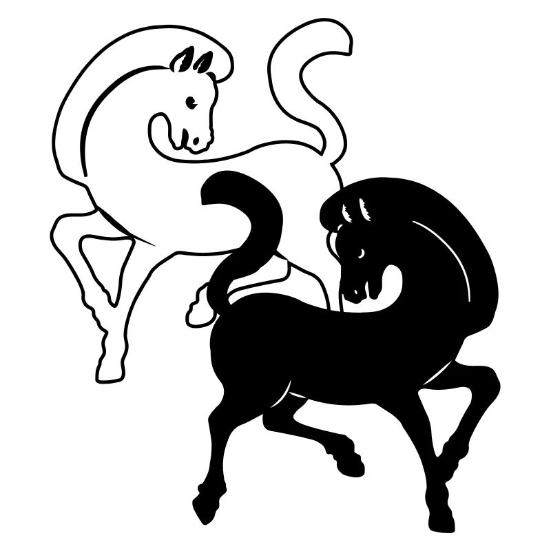 Two horses black and white