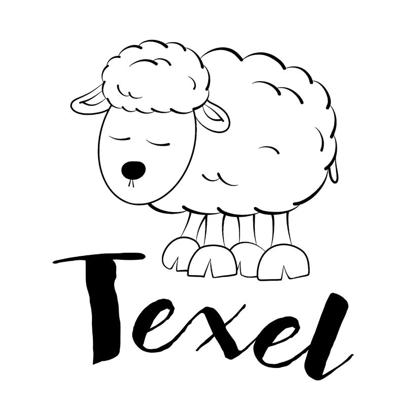 Texel Schaf