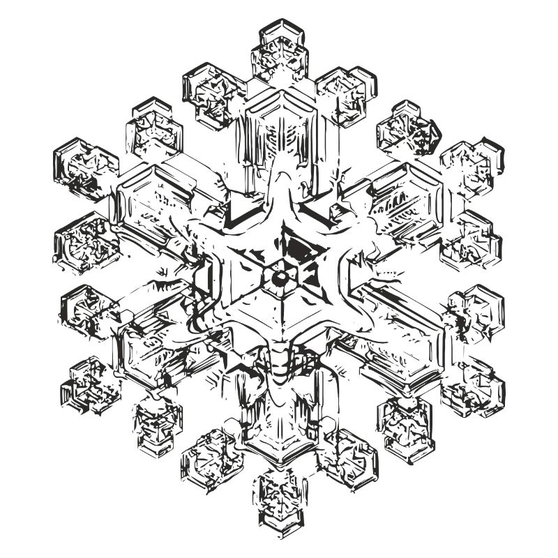snowflake 9 black