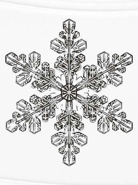 snowflake 6 black