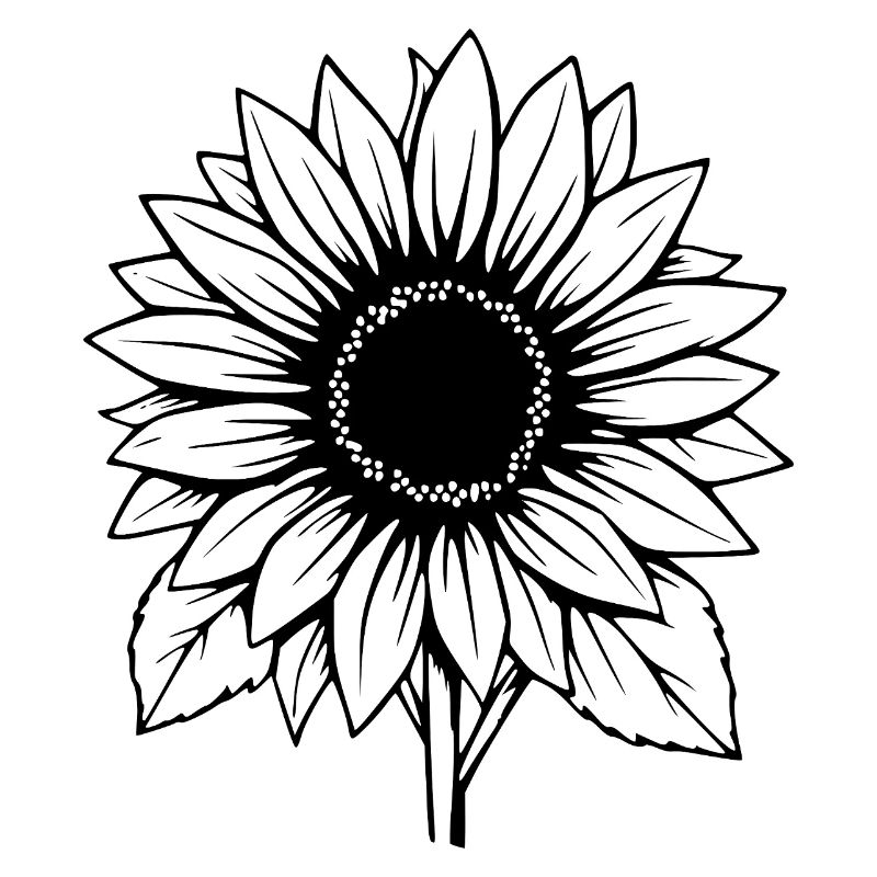 Fleur Fleur Noire Fleurs de Tournesol Fleurs