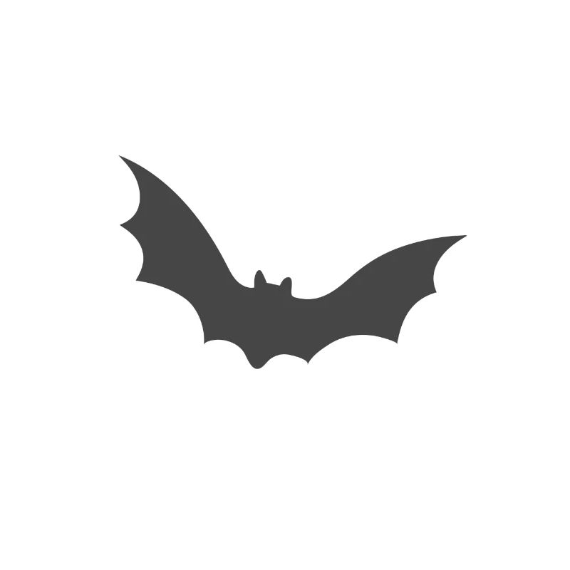 Bat, Halloween, Robin, Horror