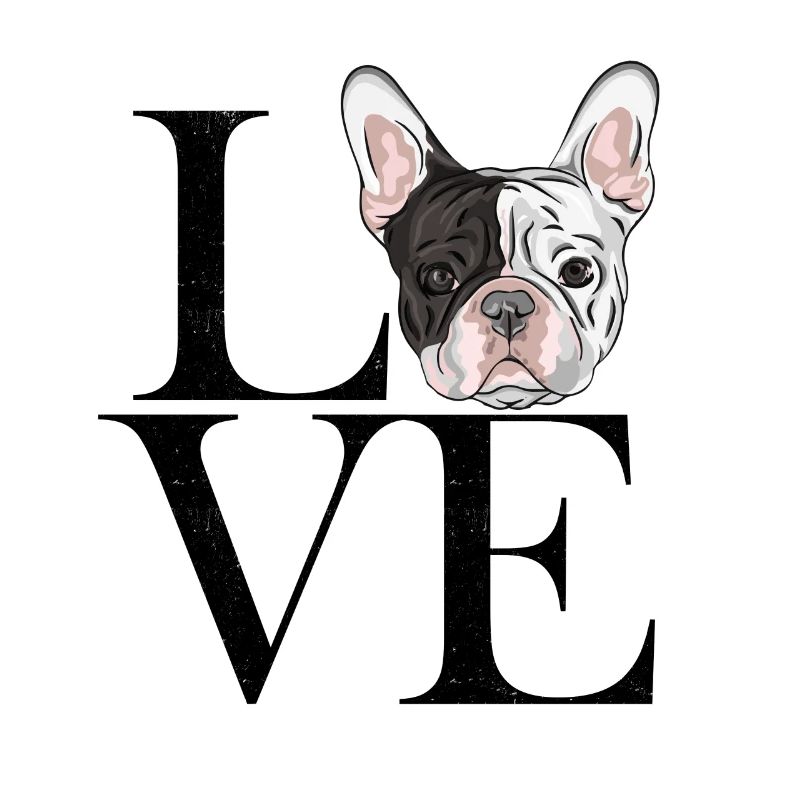 franz Bulldogge black