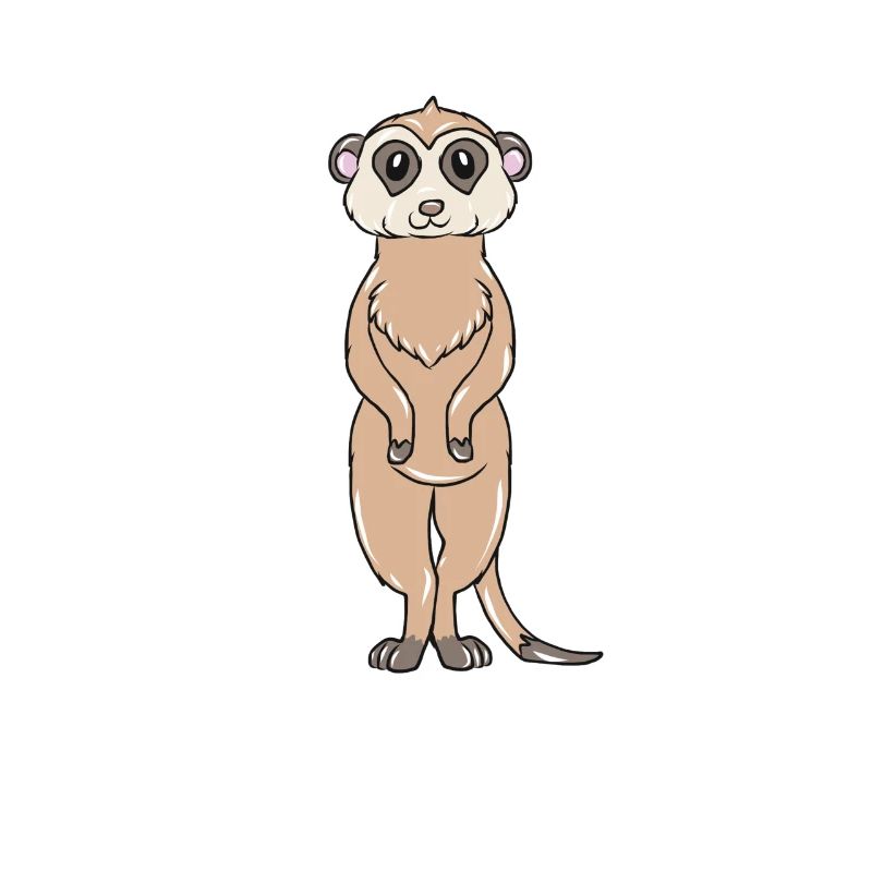 Suricate